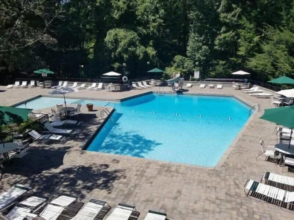 Pool Paradise: Dive into fun at this stunning seasonal pool surrounded by lush greenery and lounging spots!