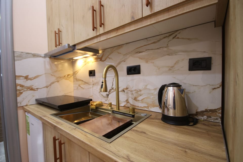 Deluxe Studio Suite, 1 Queen Bed with Sofa bed, Garden View | Private kitchen | Fridge, stovetop, coffee/tea maker, electric kettle