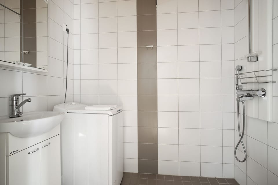 Basic Apartment | Bathroom | Shower, hair dryer, towels, toilet paper