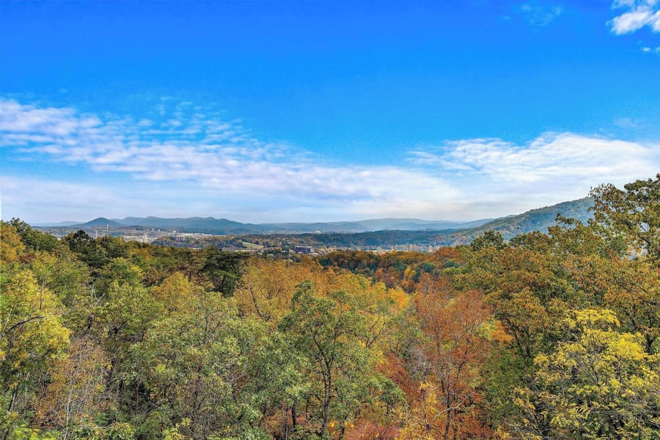 Fall Color View
