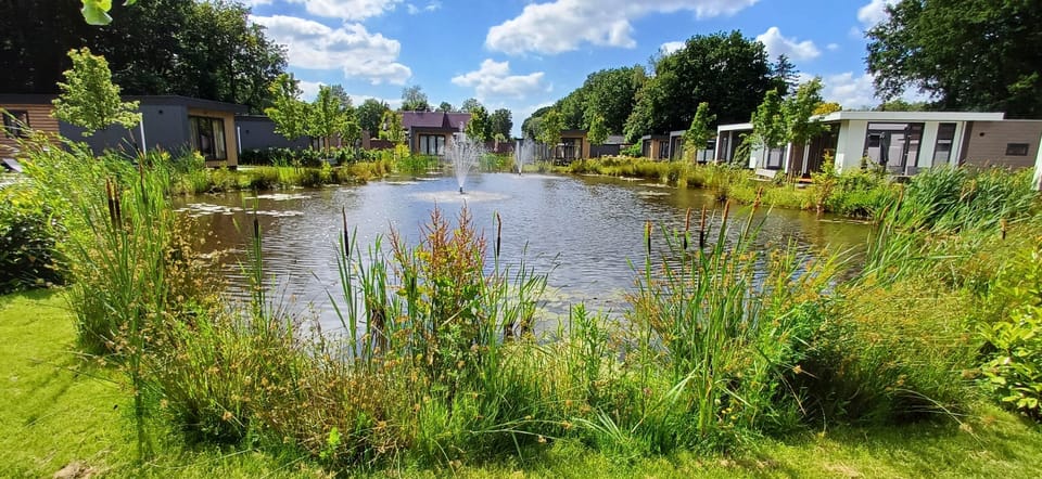 Vijver