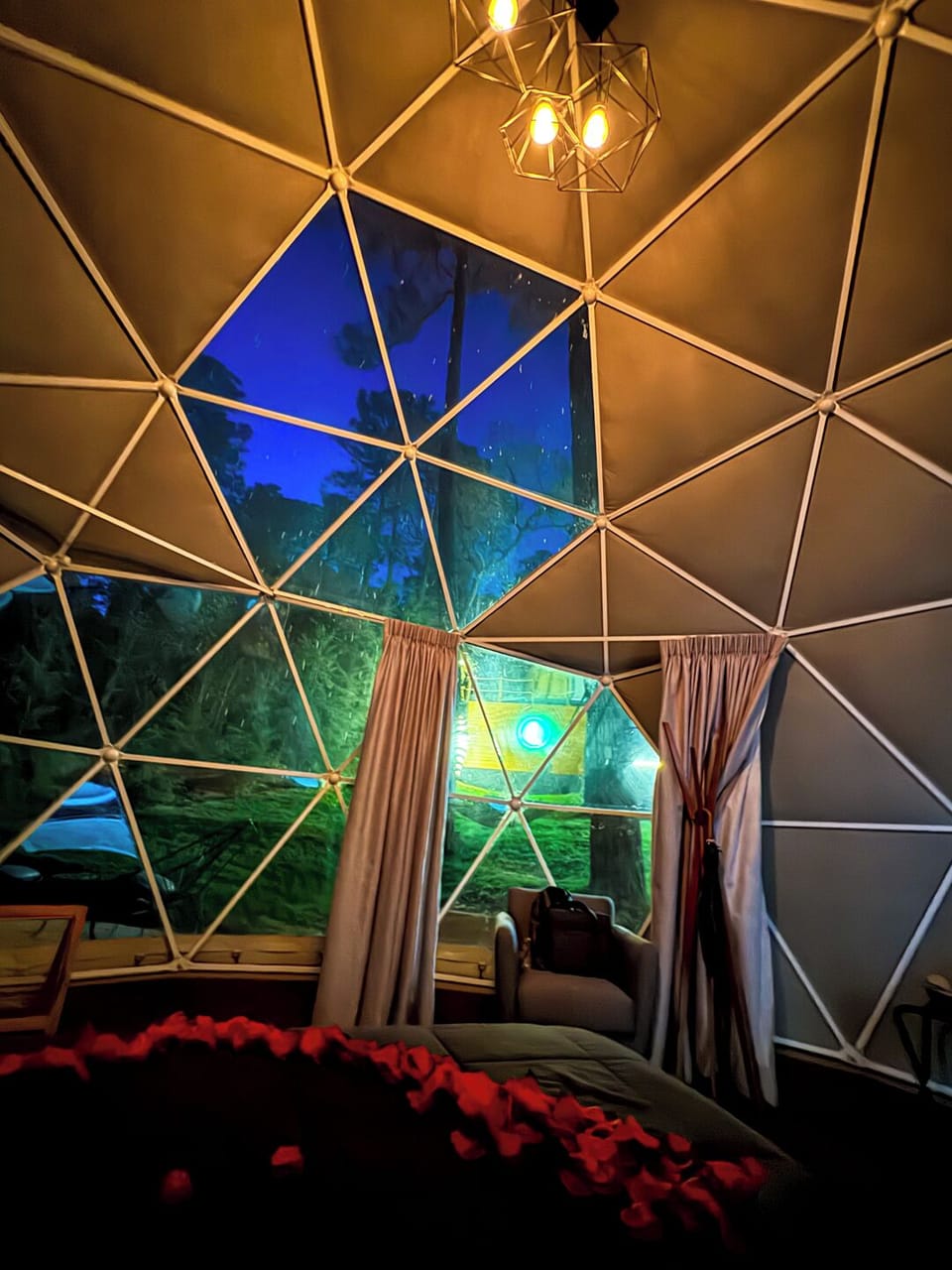 Deluxe Cabin, 1 King Bed (Domo XL) | Premium bedding, down comforters, individually decorated