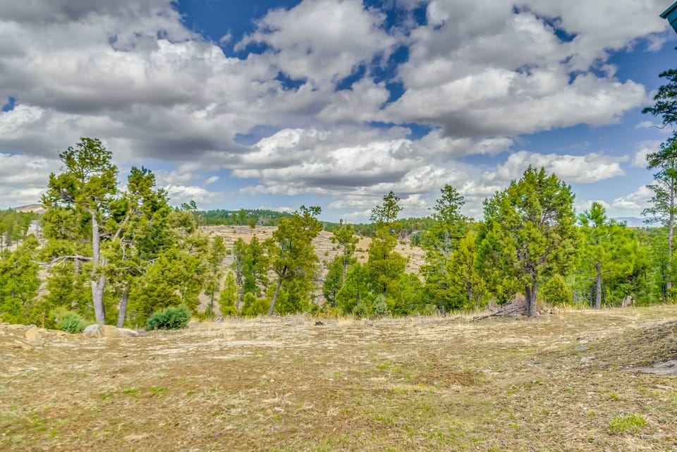 Property Views