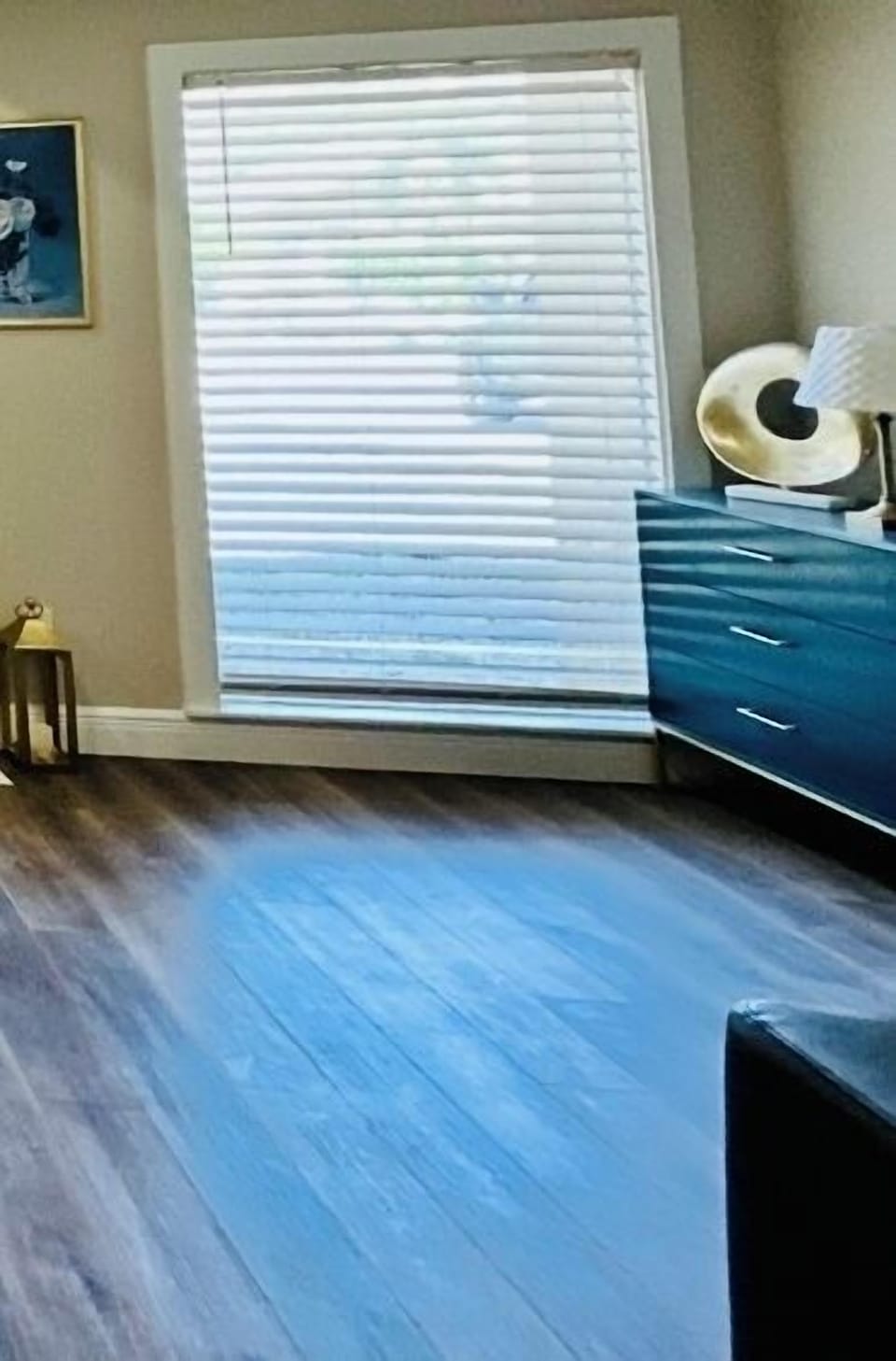 Bedroom/Sofa bed