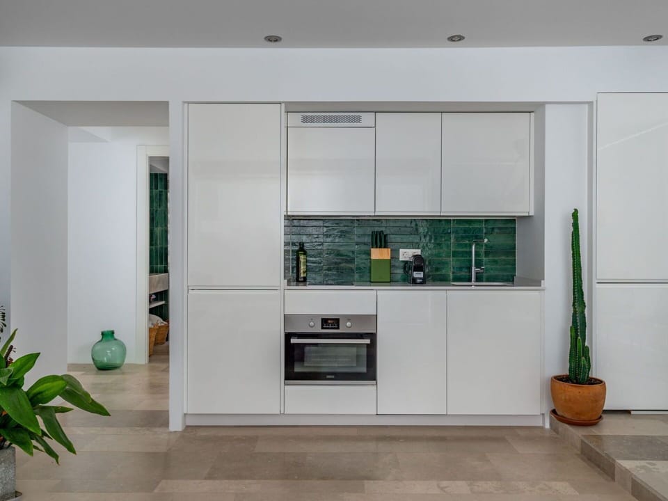Plant, Cabinetry, Houseplant, Flowerpot, Wood, Interior Design, Floor, Flooring, Home Appliance, Countertop