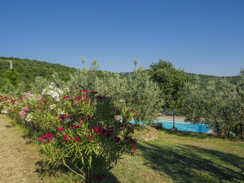 Vegetation, Nature, Flower, Plant, Property, Tree, Natural Environment, Wilderness, Sky, Plant Community