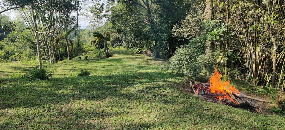 An unusual big piece of land for Java standard. Our fire pit.