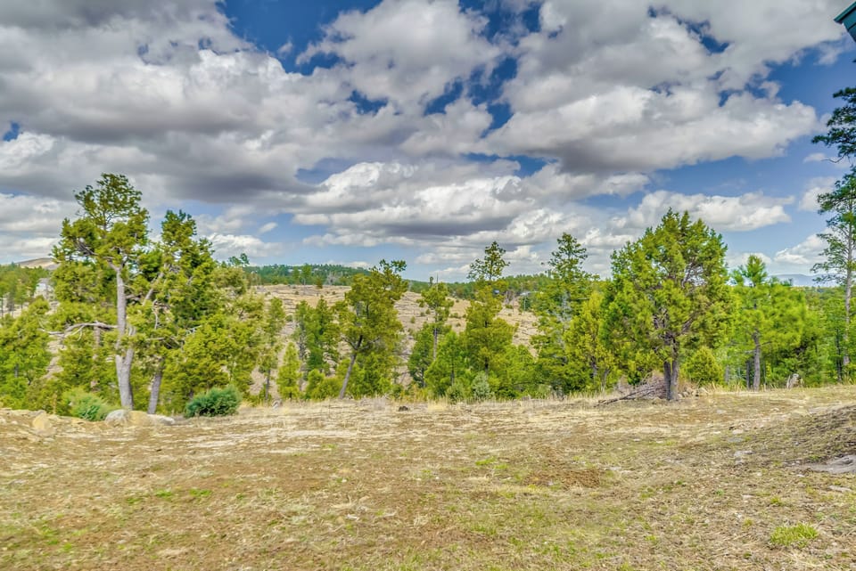 House (1 Bedroom) | Interior