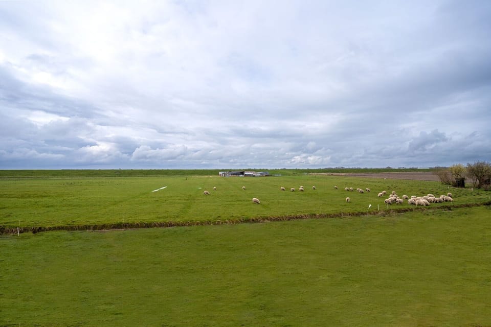 Surroundings [summer] (1-5 km)