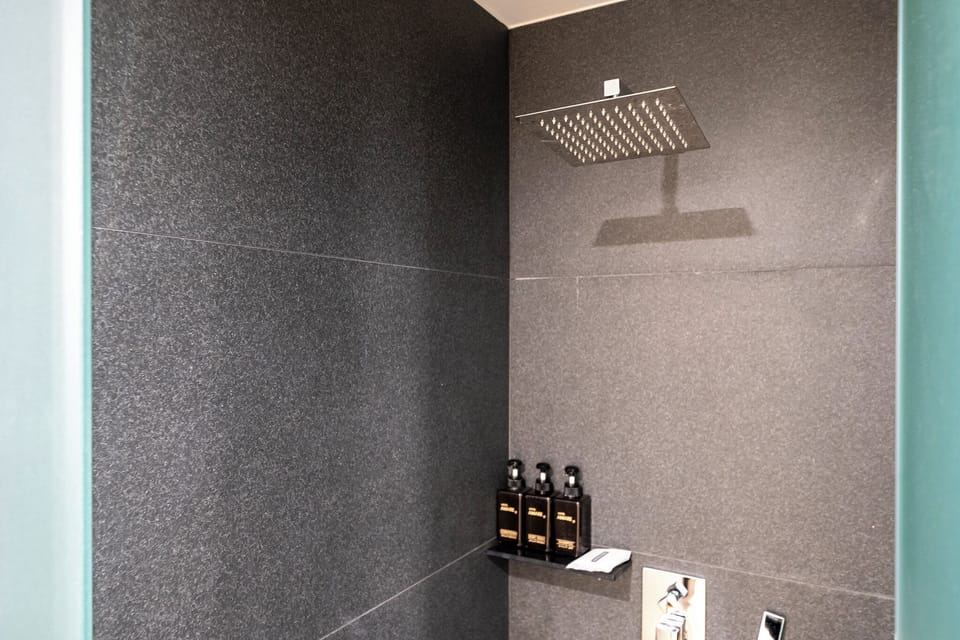 Deluxe Twin Room | Bathroom | Hair dryer, bathrobes, slippers, bidet