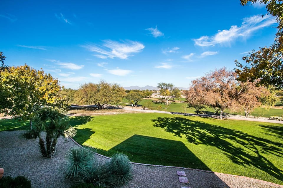 Patio and deck views