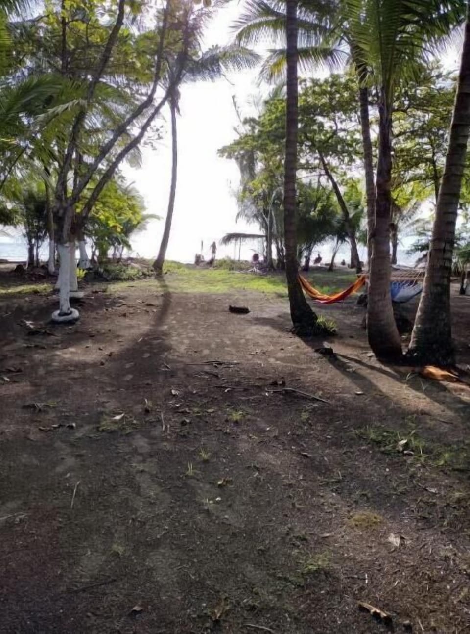 Backyard to Black sand Beach!