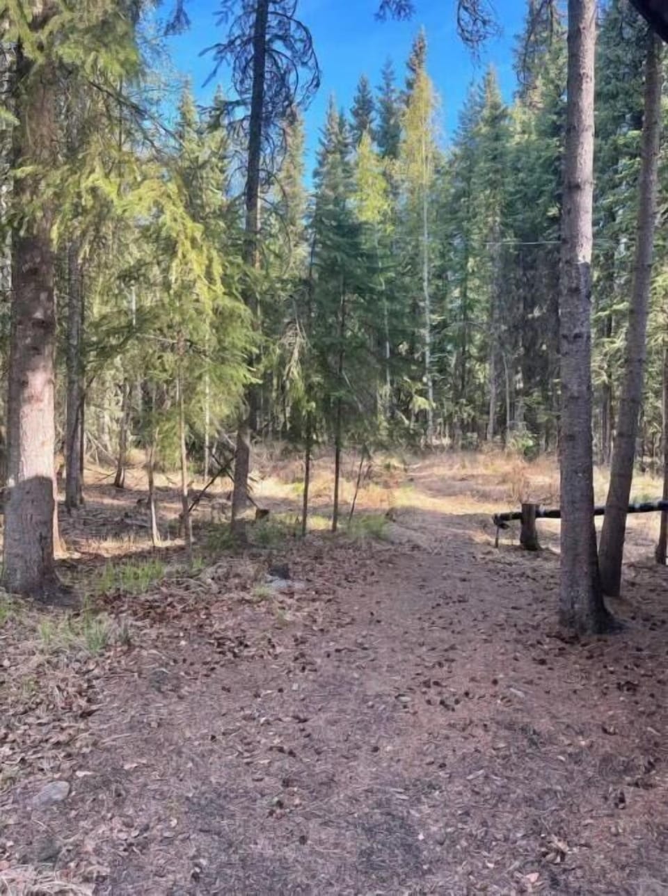 View of road by the cabin 