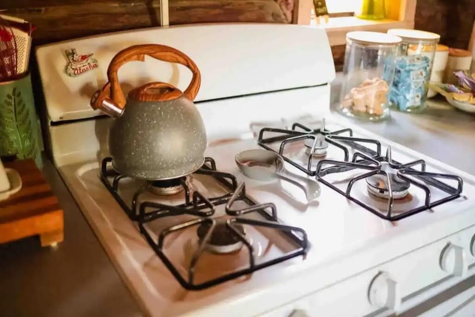 Gas stove 