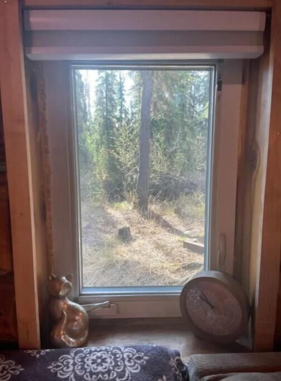 View from the cabin 
