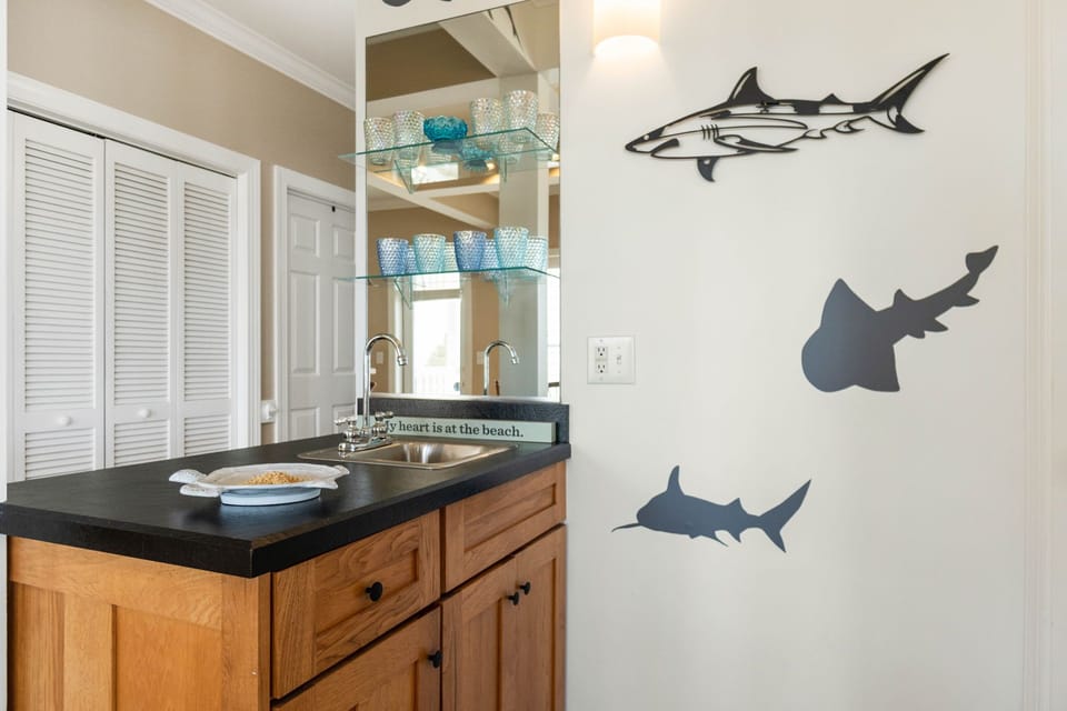 Instagramable Shark Wall
