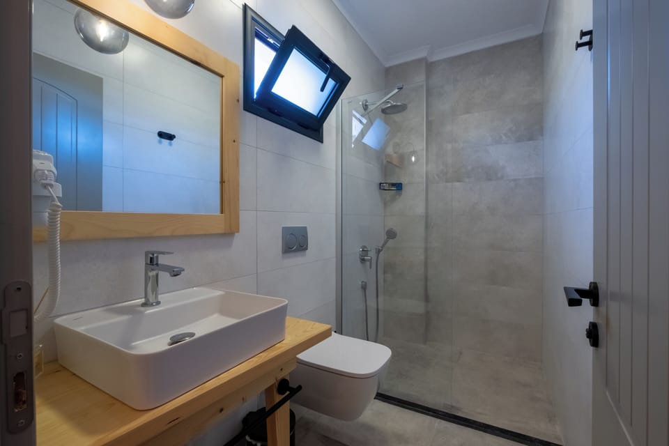 Standard Double Room | Bathroom | Shower, rainfall showerhead, free toiletries, hair dryer