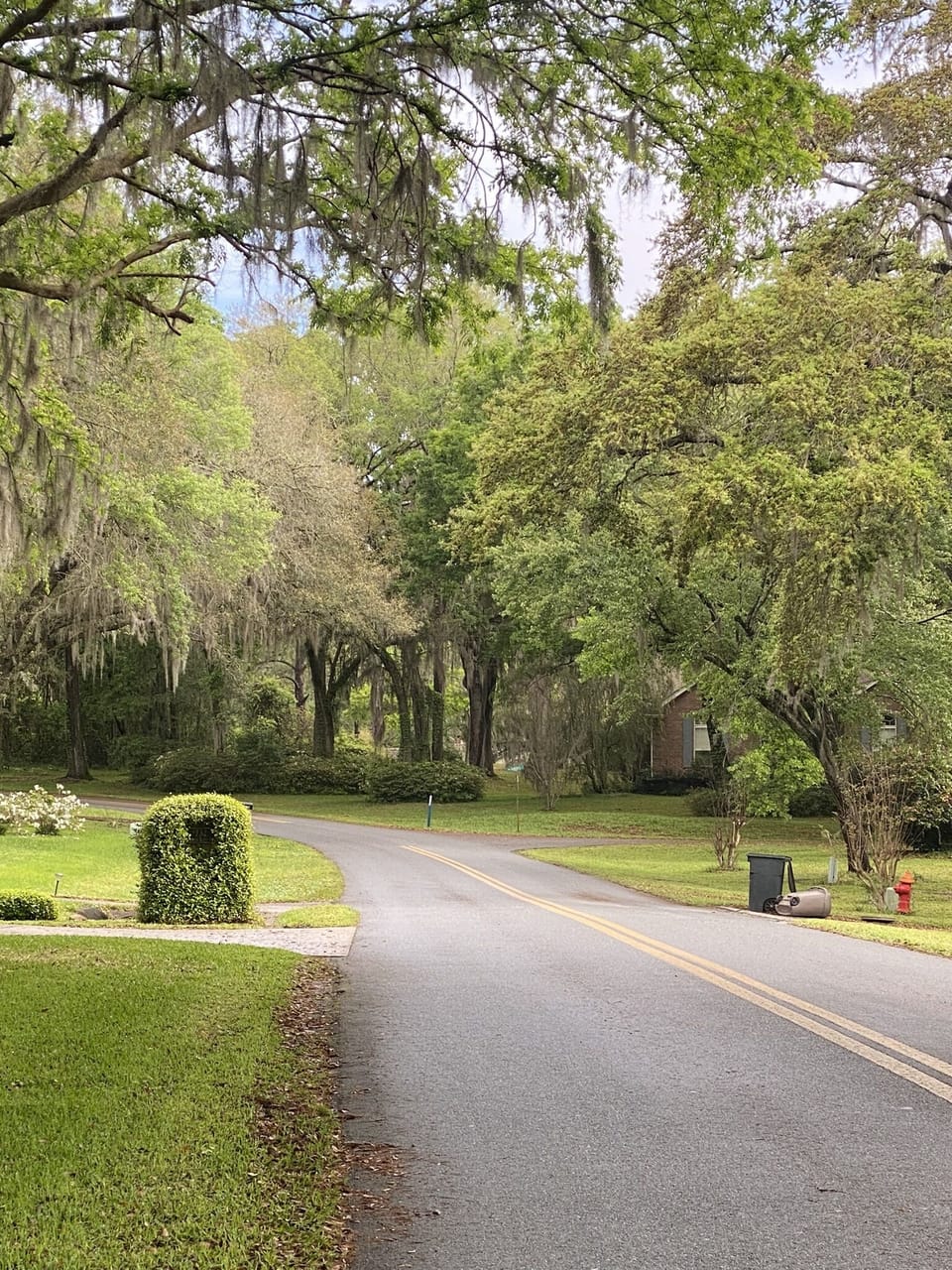 Road leading up to the main house with loft