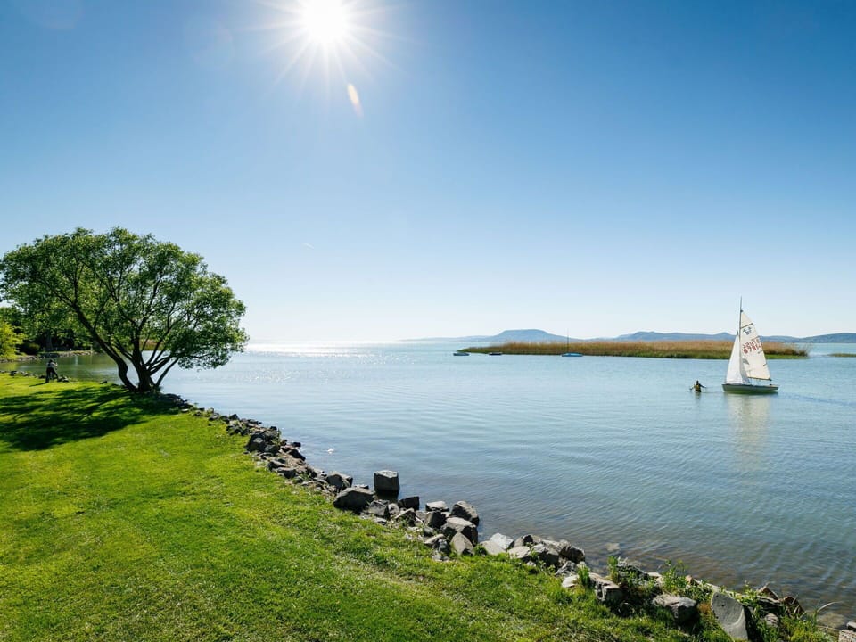 Water, Sky, Plant, Daytime, Light, Nature, Natural Landscape, Boat, Tree, Body Of Water
