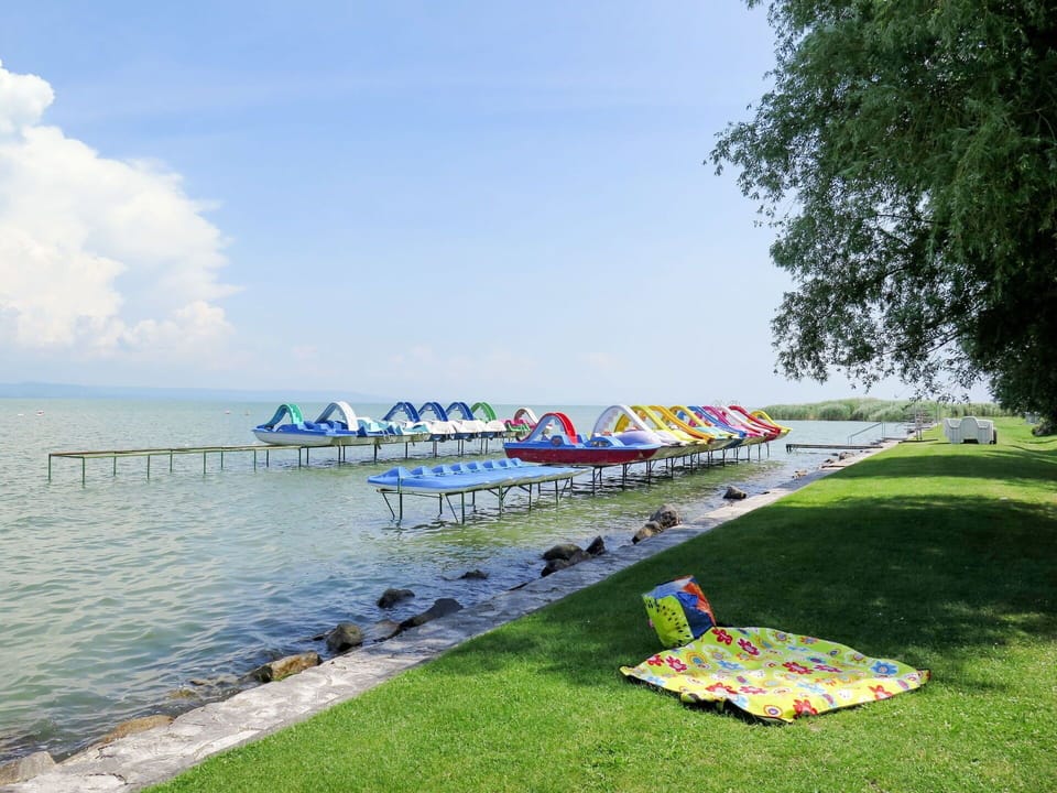 Water, Sky, Cloud, Water Resources, Azure, Tree, Natural Landscape, Beach, Coastal And Oceanic Landforms, Plant
