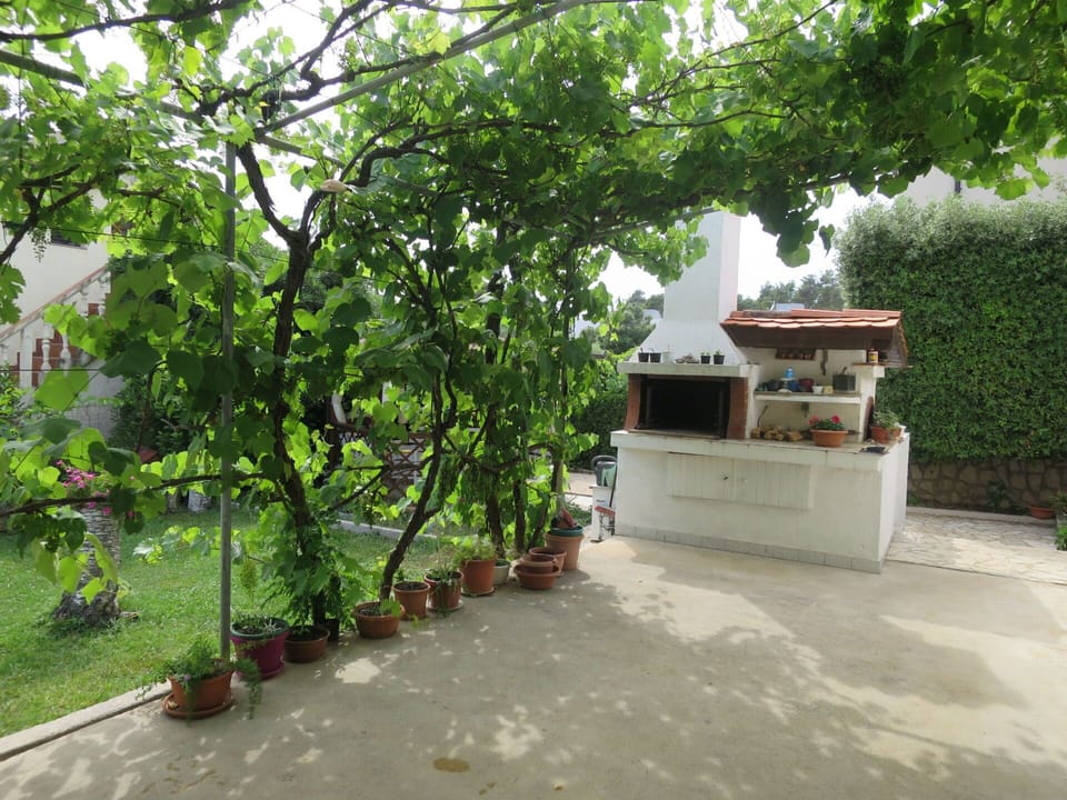 Plant, Flowerpot, Vegetation, Houseplant, Tree, Woody Plant, Shade, Building, Leisure, Urban Design