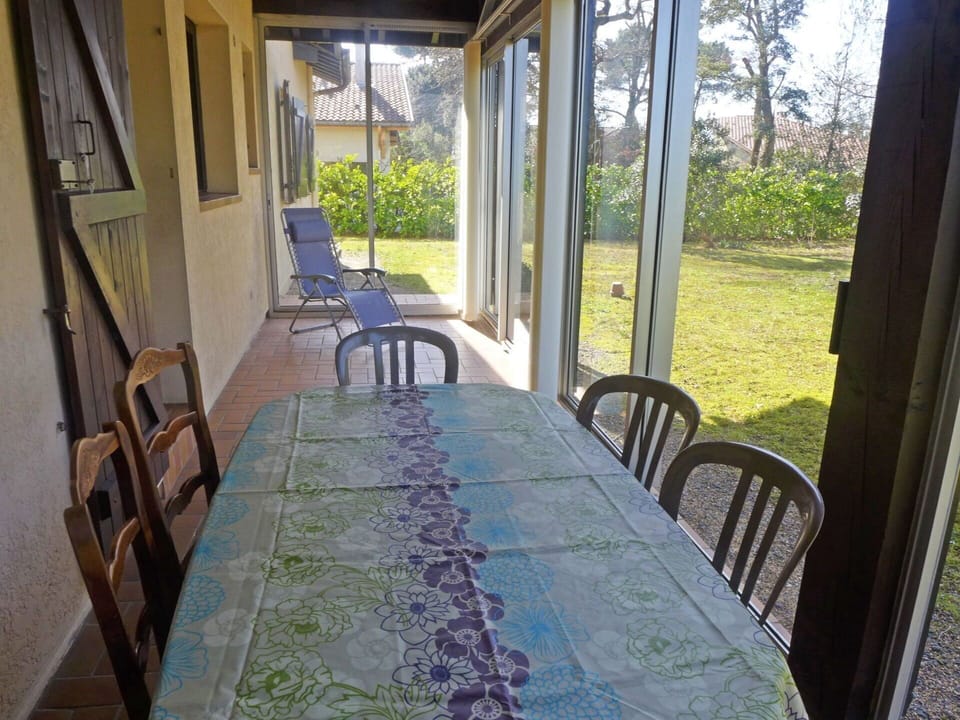 Plant, Property, Furniture, Chair, Leaf, Table, Building, Door, Wood, Interior Design