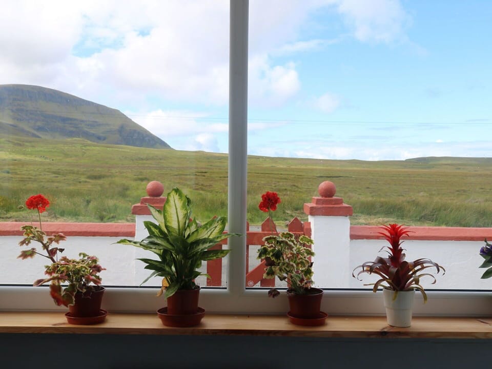 Flower, Cloud, Sky, Plant, Flowerpot, Window, Houseplant, Interior Design, Wood, Landscape