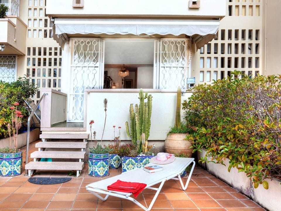 Plant, Building, Property, Window, Flower, Houseplant, Flowerpot, Interior Design, Outdoor Furniture, House