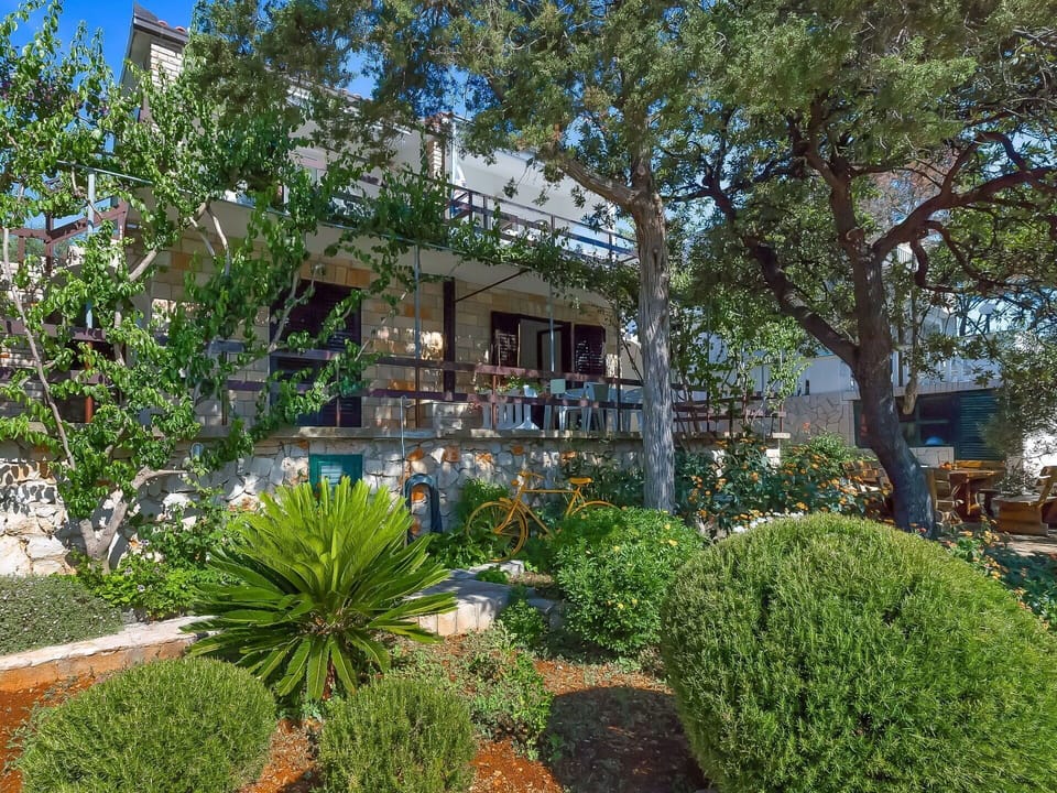 Plant, Property, Building, Plant Community, Window, Tree, House, Neighbourhood, Residential Area, Arecales