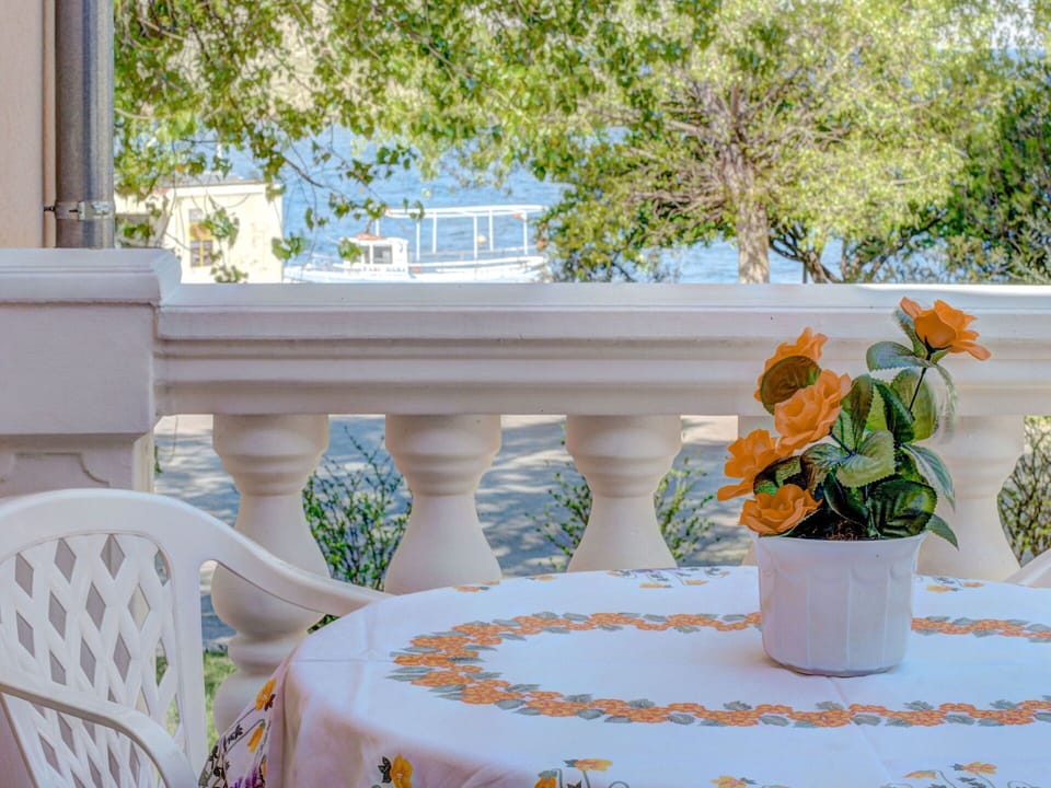 Flower, Plant, Property, Furniture, Azure, Green, Flowerpot, Decoration, Outdoor Furniture, Interior Design