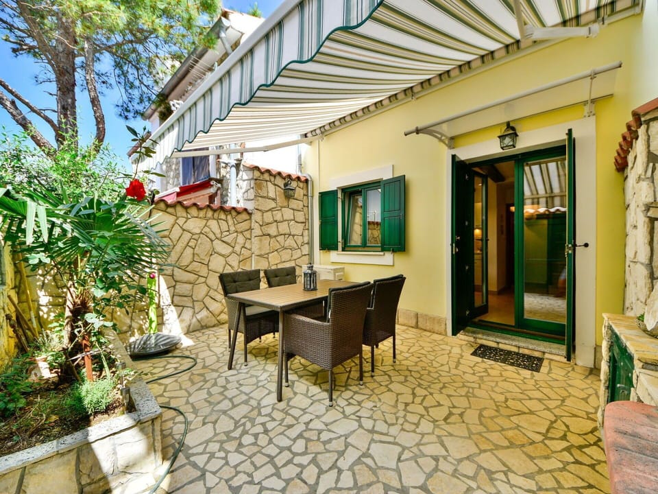 Plant, Building, Furniture, Shade, Chair, Flowerpot, Interior Design, Window, Tree, Table