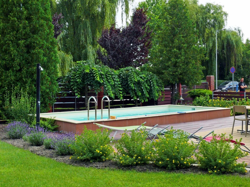 Plant, Flower, Tree, Vegetation, Outdoor Furniture, Grass, Natural Landscape, Woody Plant, Fountain, Landscape