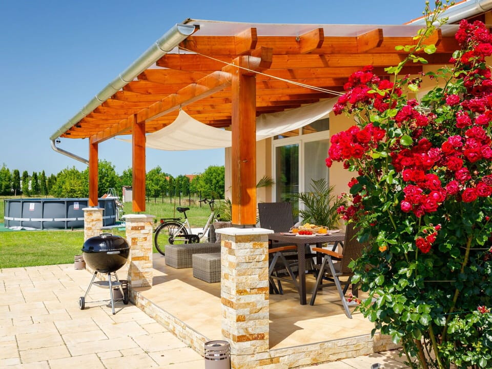 Plant, Flower, Property, Building, Sky, Flowerpot, Outdoor Furniture, Umbrella, Shade, Outdoor Table