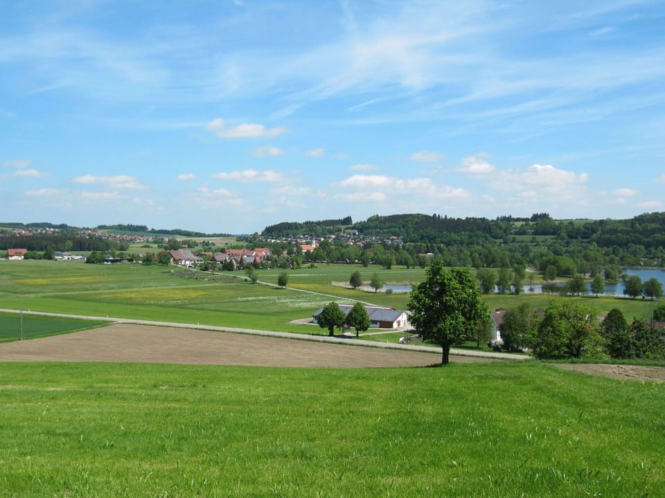 Sky, Property, Plant, Tree, Building, Land Lot, Slope, Shade, Asphalt, Wood
