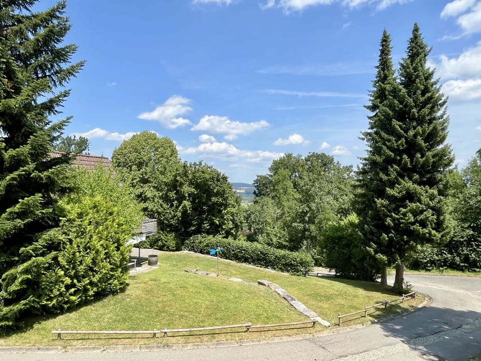Tree, Shrub, Larch, Garden, Evergreen, Landscaping, Lawn, Park