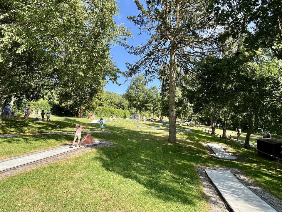Grass, Tree, Public Space, Recreation, Shrub, Garden, Leisure, Park, Groundcover