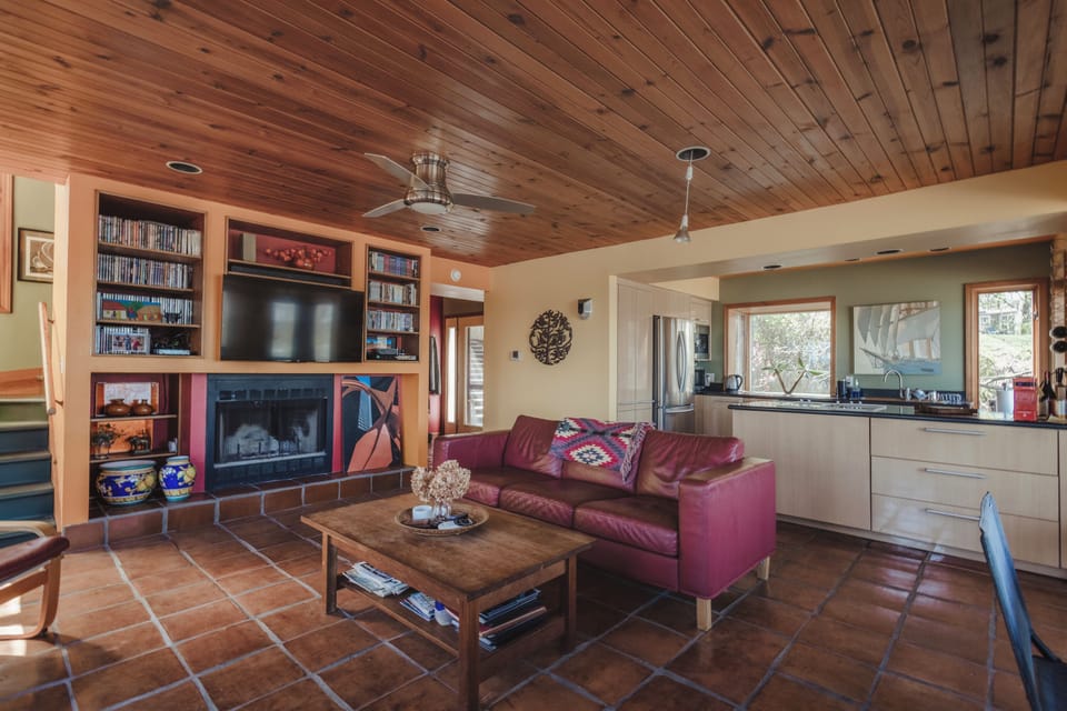 Living room and fire place