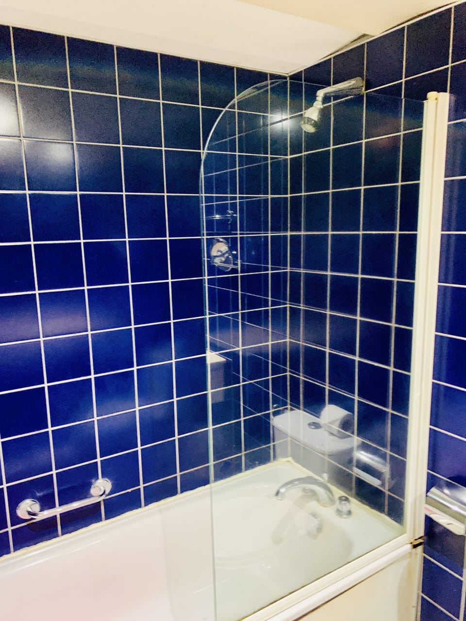 Superior Room | Bathroom | Free toiletries, soap, toilet paper