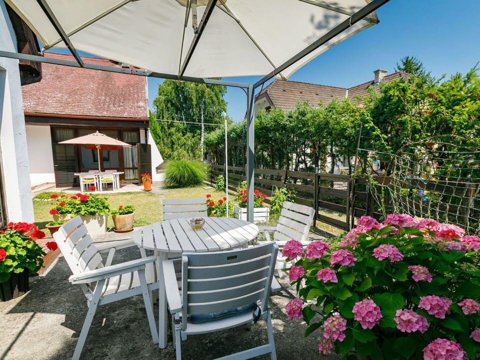 Flower, Plant, Property, Furniture, Chair, Botany, Flowerpot, Shade, Outdoor Furniture, Architecture