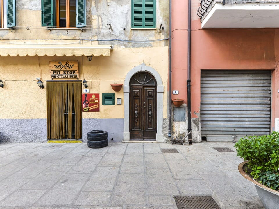 Plant, Property, Window, Building, Flowerpot, Road Surface, Door, Architecture, Residential Area, Real Estate