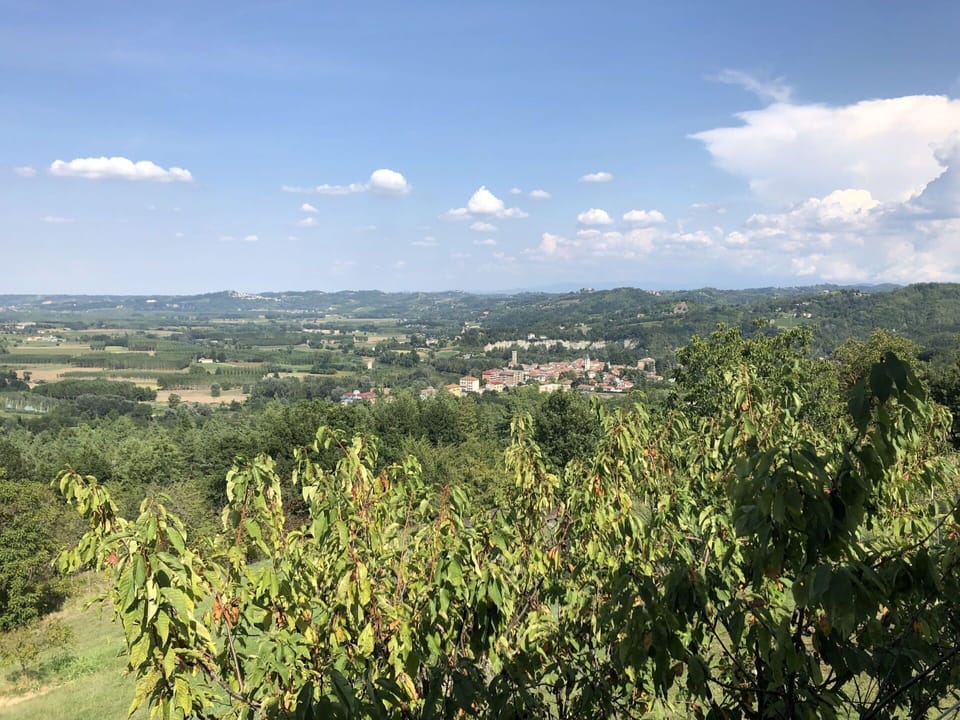 Daytime, Leaf, Tree, Green, Natural Environment, Nature, Vegetation, Plant Community, Hill, Rural Area