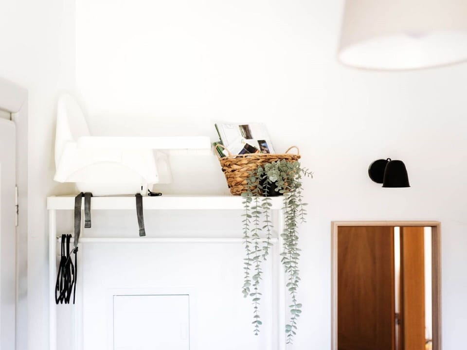 Plant, Building, Houseplant, Interior Design, Wood, Flowerpot, Material Property, Door, Rectangle, Flooring