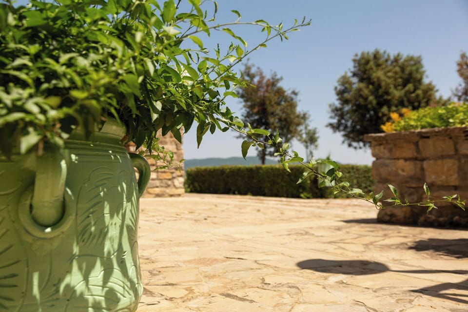 Flowerpot, Garden, Houseplant, Pottery, Flagstone, Shadow