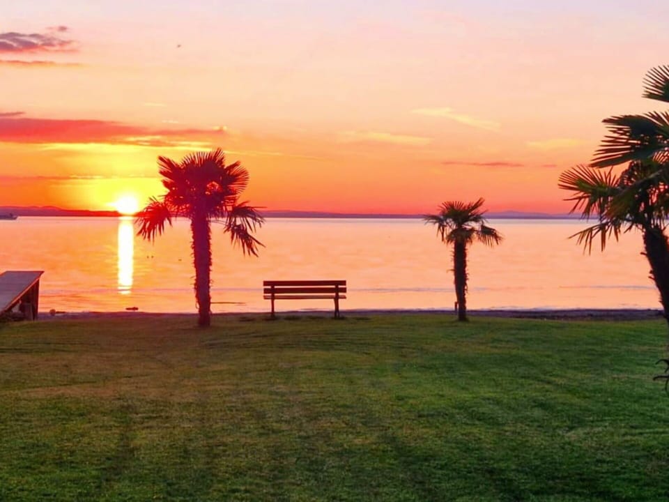 Water, Sky, Water Resources, Mountain, Azure, Plant, Coastal And Oceanic Landforms, Lake, Beach, Horizon