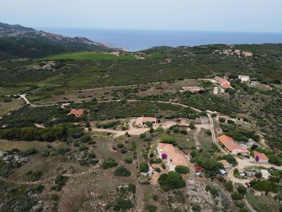 Sky, Plant Community, Building, Plant, Highland, Land Lot, Mountain, Landscape, City, Tree