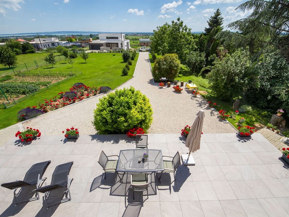 Plant, Flower, Cloud, Sky, Table, Tree, Outdoor Furniture, Urban Design, Flowerpot, Leisure