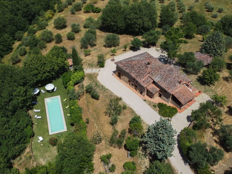 Plant, Property, Tree, Land Lot, Natural Landscape, Urban Design, Residential Area, Landscape, Real Estate, Rural Area