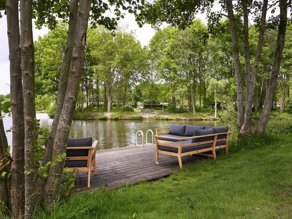 Plant, Water, Property, Plant Community, Natural Landscape, Tree, Wood, Shade, Lake, Outdoor Bench