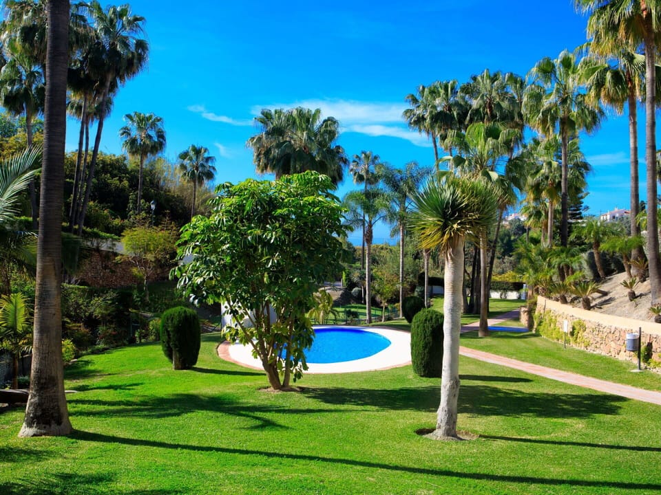 Plant, Sky, Property, Tree, Azure, Cloud, Shade, Natural Landscape, Architecture, Land Lot