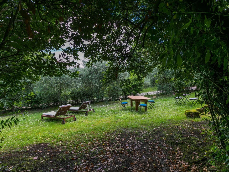 Plant, Table, Natural Landscape, Outdoor Bench, Shade, Tree, Outdoor Furniture, Bench, Wood
